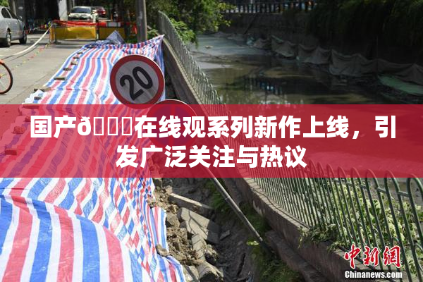 国产🔞在线观系列新作上线，引发广泛关注与热议
