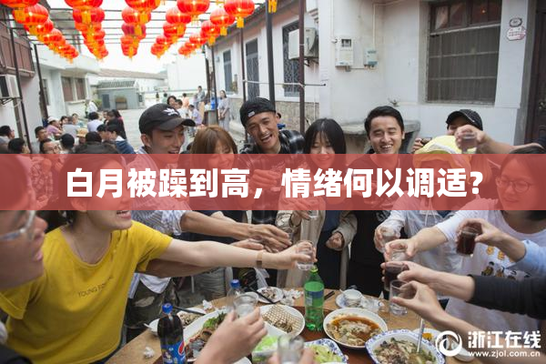 白月被躁到高，情绪何以调适？
