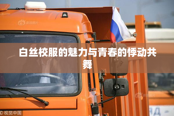 白丝校服的魅力与青春的悸动共舞