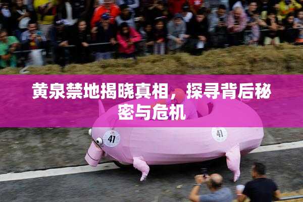 黄泉禁地揭晓真相，探寻背后秘密与危机