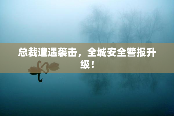 总裁遭遇袭击，全城安全警报升级！