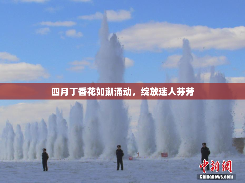 四月丁香花如潮涌动，绽放迷人芬芳