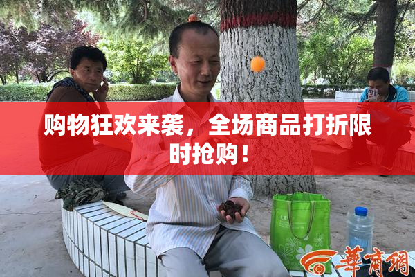 购物狂欢来袭，全场商品打折限时抢购！