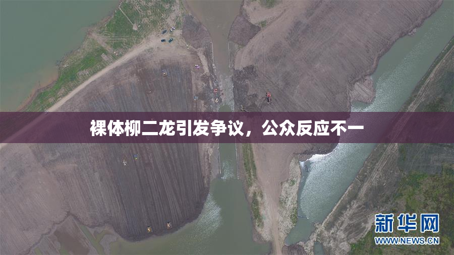裸体柳二龙引发争议，公众反应不一