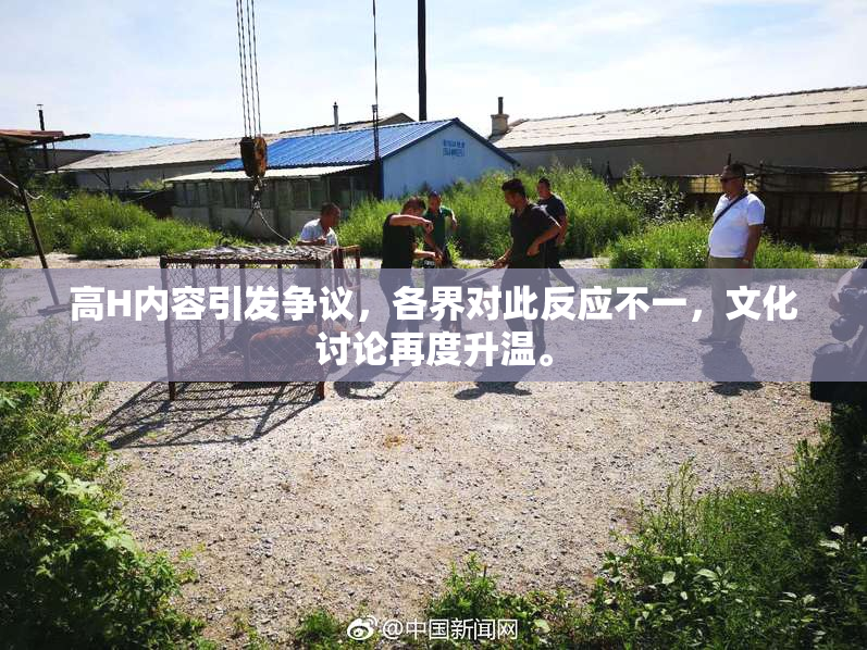 高H内容引发争议，各界对此反应不一，文化讨论再度升温。