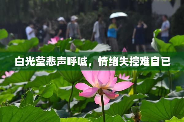 白光莹悲声呼喊，情绪失控难自已