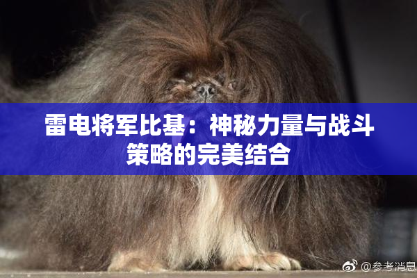 雷电将军比基：神秘力量与战斗策略的完美结合