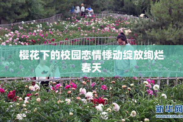 樱花下的校园恋情悸动绽放绚烂春天