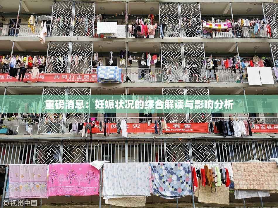 重磅消息：妊娠状况的综合解读与影响分析