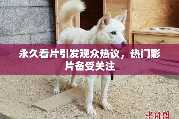 永久看片引发观众热议，热门影片备受关注