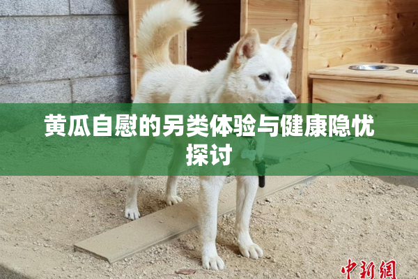黄瓜自慰的另类体验与健康隐忧探讨