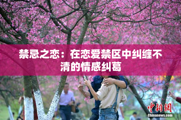 禁忌之恋：在恋爱禁区中纠缠不清的情感纠葛