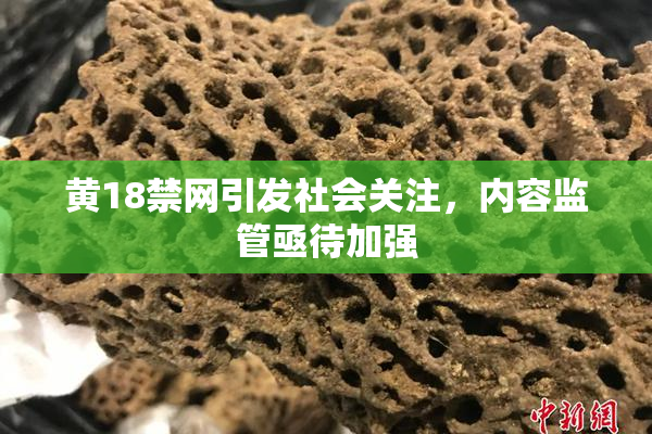 黄18禁网引发社会关注，内容监管亟待加强