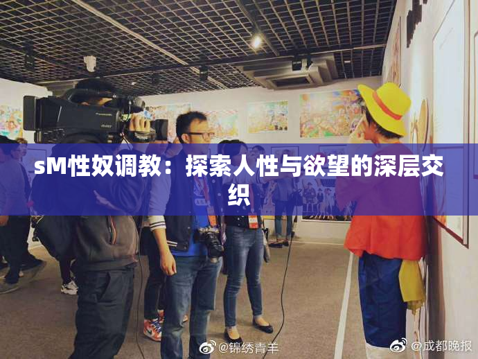 sM性奴调教：探索人性与欲望的深层交织