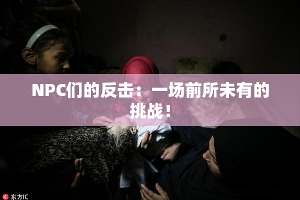 NPC们的反击：一场前所未有的挑战！