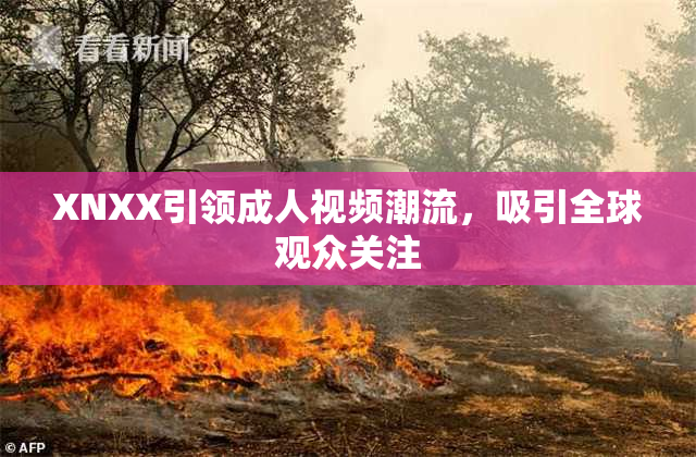 XNXX引领成人视频潮流，吸引全球观众关注