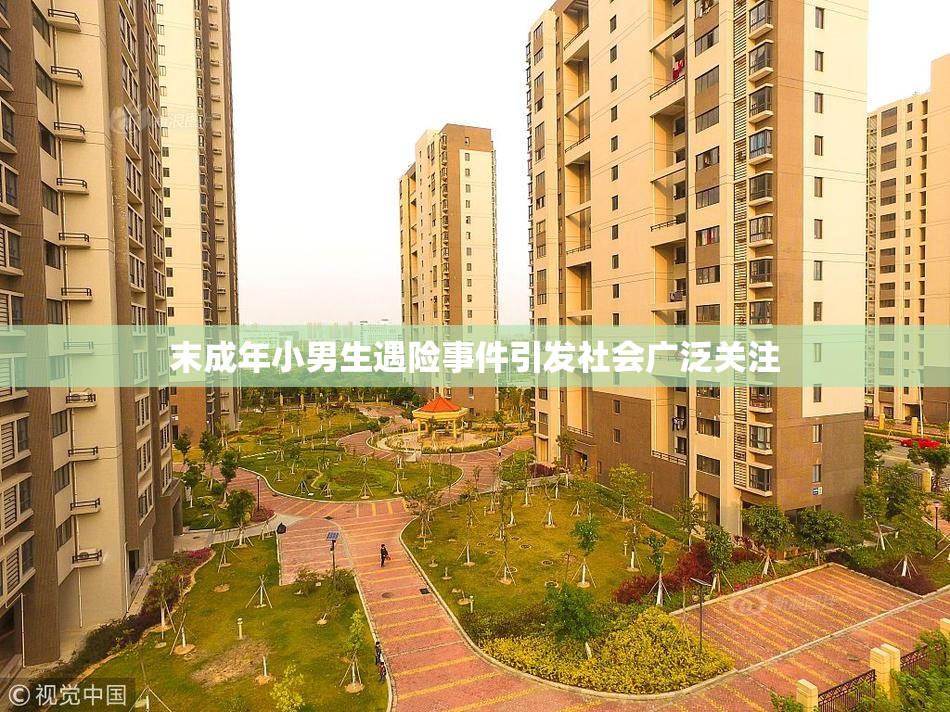 末成年小男生遇险事件引发社会广泛关注
