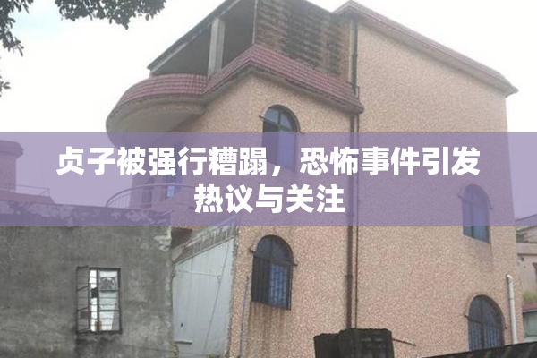 贞子被强行糟蹋，恐怖事件引发热议与关注