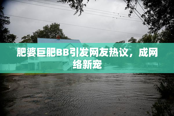 肥婆巨肥BB引发网友热议，成网络新宠