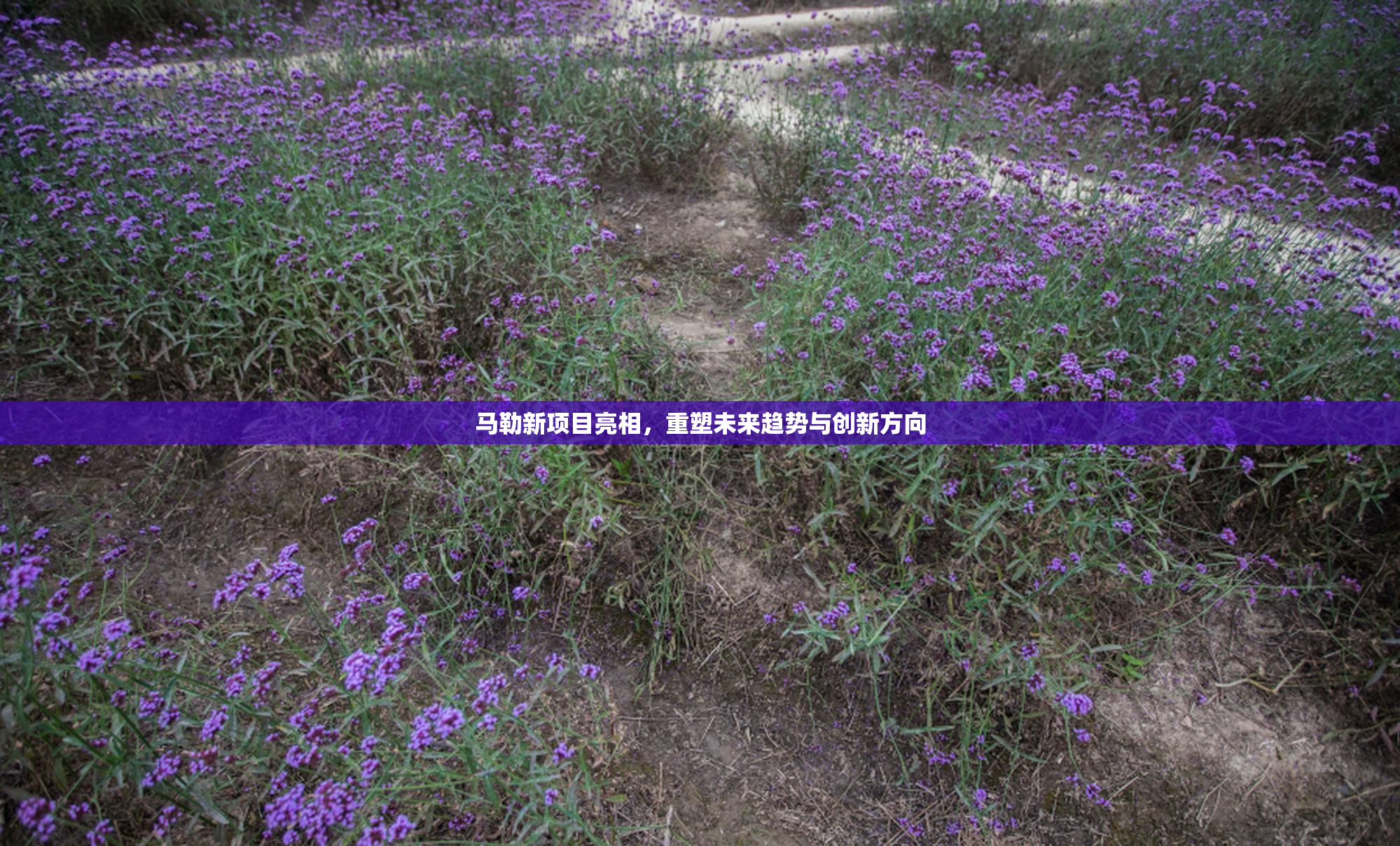 马勒新项目亮相，重塑未来趋势与创新方向