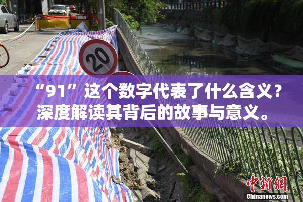 “91”这个数字代表了什么含义？深度解读其背后的故事与意义。
