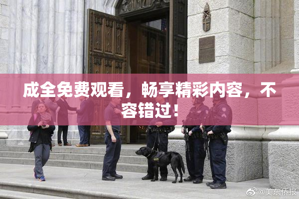 成全免费观看，畅享精彩内容，不容错过！