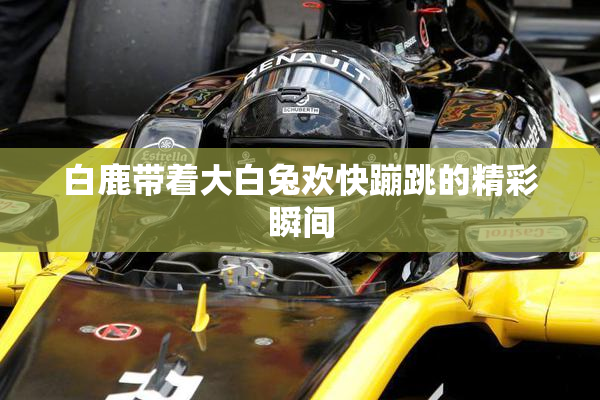 白鹿带着大白兔欢快蹦跳的精彩瞬间
