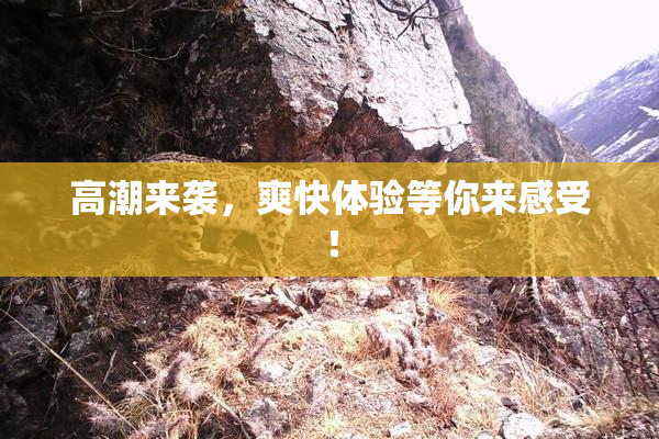 高潮来袭，爽快体验等你来感受！