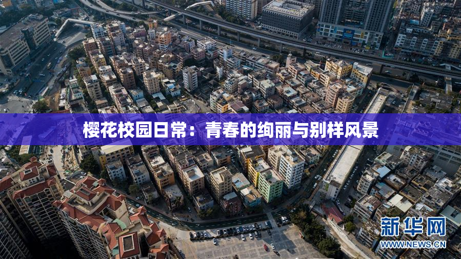 樱花校园日常：青春的绚丽与别样风景