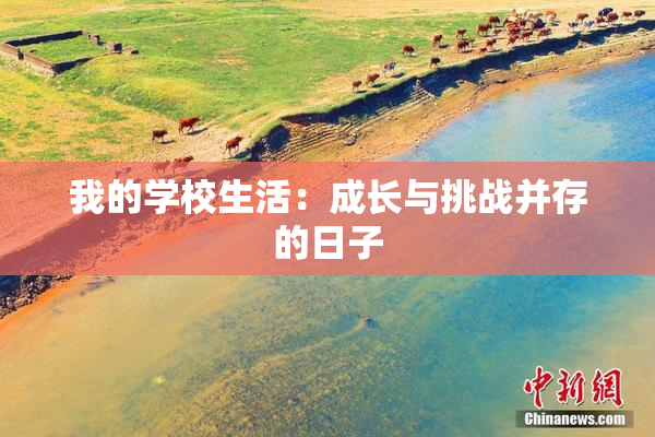 我的学校生活：成长与挑战并存的日子