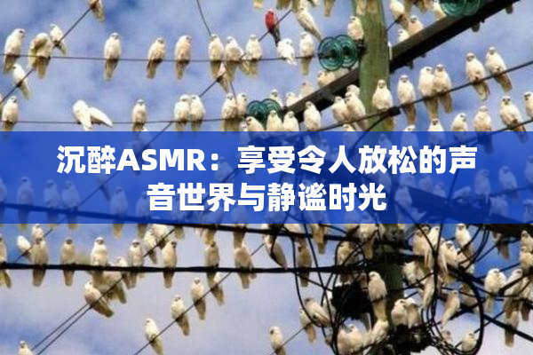 沉醉ASMR：享受令人放松的声音世界与静谧时光