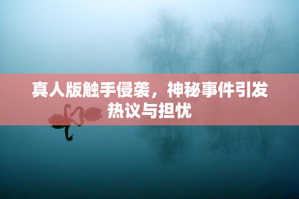 真人版触手侵袭，神秘事件引发热议与担忧