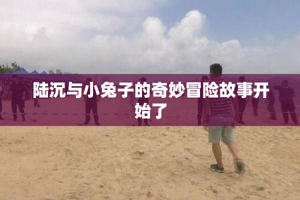 陆沉与小兔子的奇妙冒险故事开始了