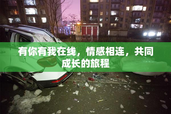 有你有我在线，情感相连，共同成长的旅程