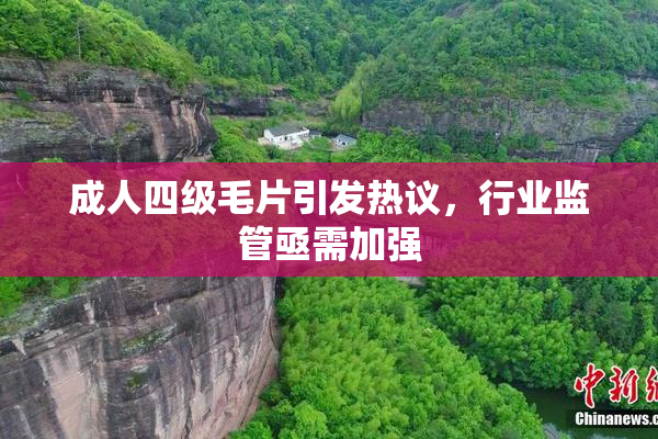 成人四级毛片引发热议，行业监管亟需加强