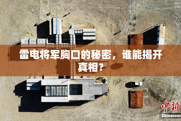 雷电将军胸口的秘密，谁能揭开真相？