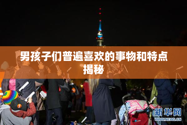 男孩子们普遍喜欢的事物和特点揭秘