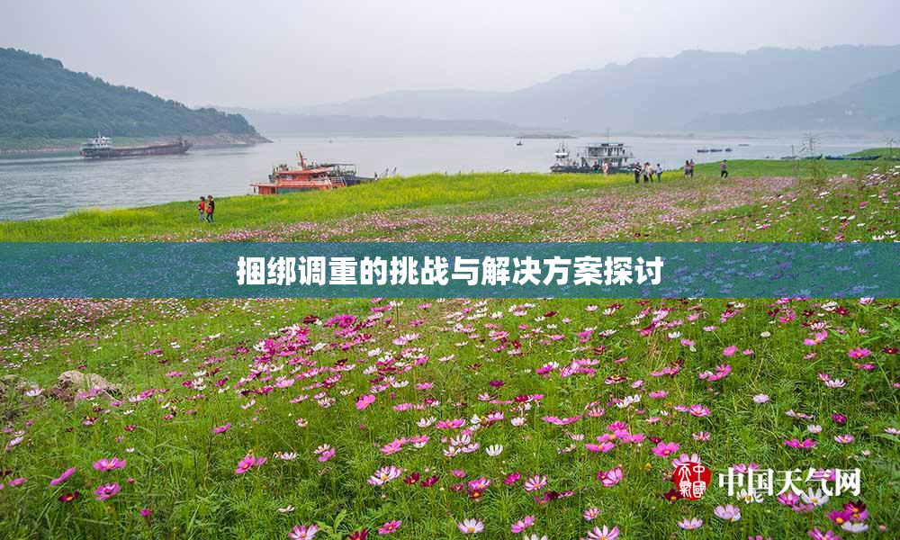 捆绑调重的挑战与解决方案探讨