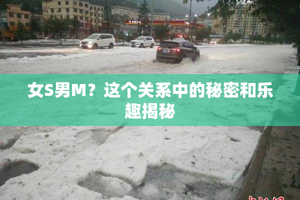 女S男M？这个关系中的秘密和乐趣揭秘