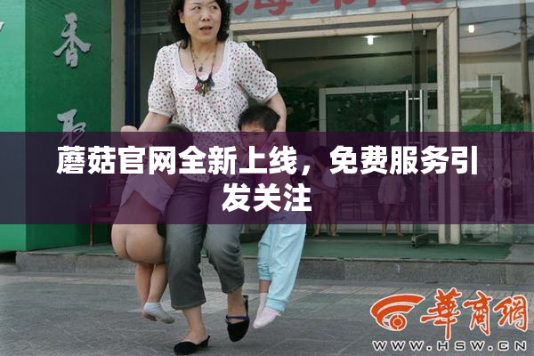 蘑菇官网全新上线，免费服务引发关注