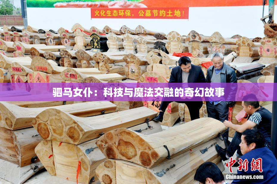 驷马女仆：科技与魔法交融的奇幻故事