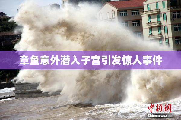 章鱼意外潜入子宫引发惊人事件