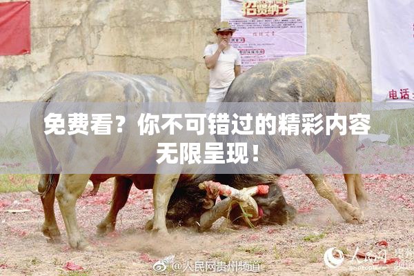 免费看？你不可错过的精彩内容无限呈现！