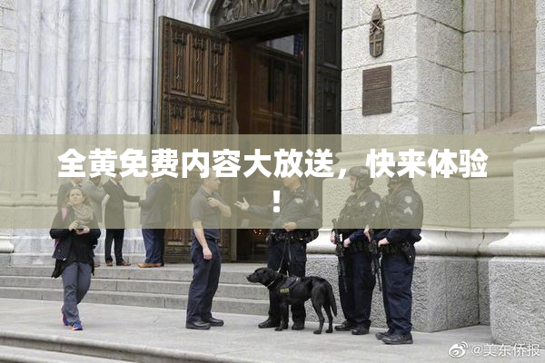 全黄免费内容大放送，快来体验！