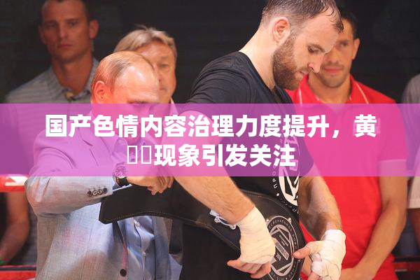 国产色情内容治理力度提升，黄❌‌现象引发关注