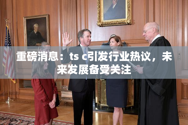 重磅消息：ts c引发行业热议，未来发展备受关注