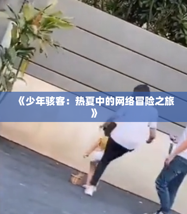 《少年骇客：热夏中的网络冒险之旅》