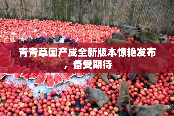 青青草国产成全新版本惊艳发布，备受期待