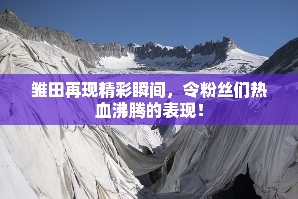 雏田再现精彩瞬间，令粉丝们热血沸腾的表现！