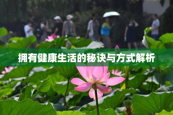 拥有健康生活的秘诀与方式解析